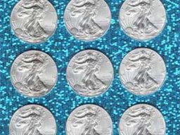 Silver Coins
