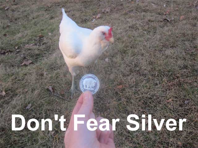 don't fear silver 401k